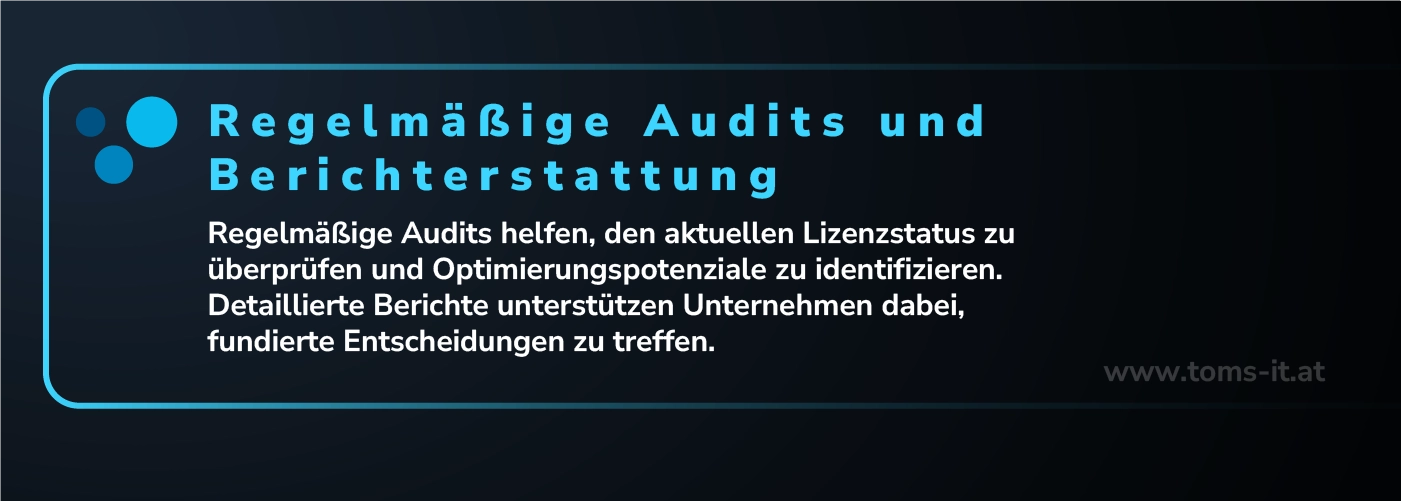 Regelmäßige Audits zur Überprüfung des Lizenzstatus und Identifikation von Optimierungspotenzialen.